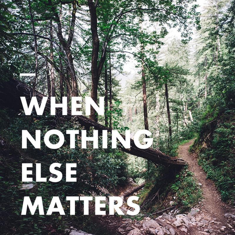 Move Extreme Beard Oil - Rӕdical Raedical